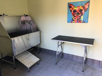 Pet wash